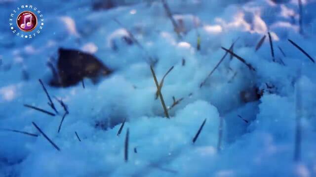 Первый снег