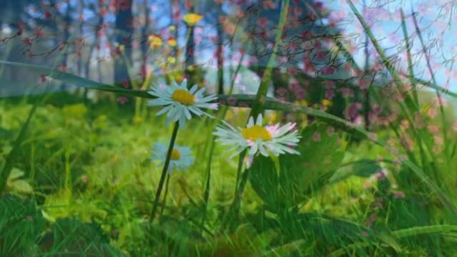 АЛЕКСАНДР ВАСЯНОВ - НЕ ВЕРНУТЬ...