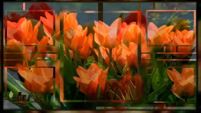 СЕРГЕЙ ЧЕКАЛИН  -  МЕЛОДИЯ ДЛЯ ДУШИ !