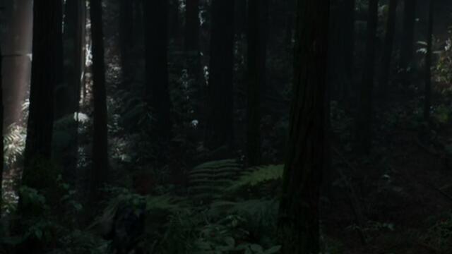 Колко добре познавате петте си пръста? (част 2)