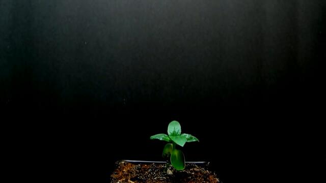 Очень Красивый Впечатляющий Трек