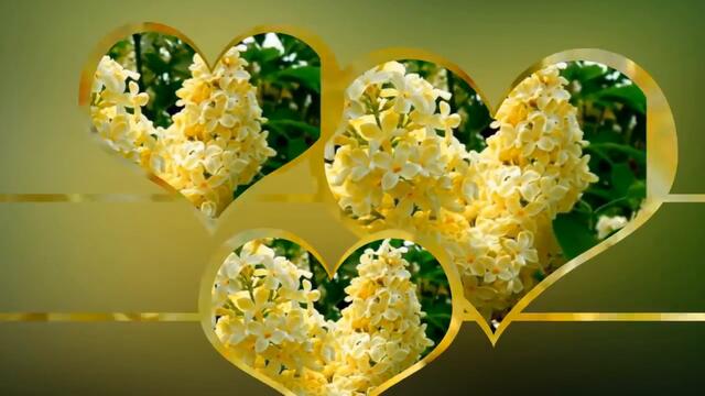 ОЧЕНЬ КРАСИВАЯ МЕЛОДИЯ СЕРГЕЯ ЧЕКАЛИНА !