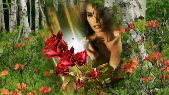 ТЫ И ТОЛЬКО ТЫ, ЛУЧШАЯ ИЗ ЖЕНЩИН !