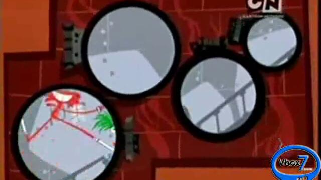 ФОСТЪР АПОКАЛИПСИСЪТ НА ОСИНИВЯВАНЕТО